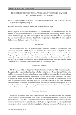 Second Brief Piece of Information About the Species Status of Utricularia Cornigera Studnicˇka