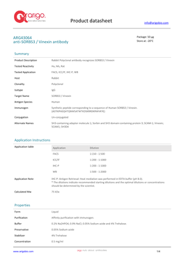 Anti-SORBS3 / Vinexin Antibody (ARG43064)