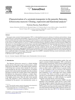 Characterization of a Serotonin Transporter in the Parasitic Flatworm