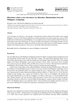 Rhinobatos Whitei, a New Shovelnose Ray (Batoidea: Rhinobatidae) from the Philippine Archipelago