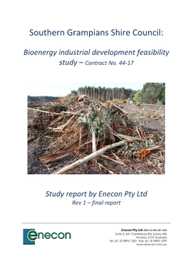 Bioenergy Industrial Development Feasibility Study – Contract No