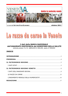 Le Razze Di Bovini Da Carne in Veneto