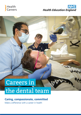 Careers in the Dental Team