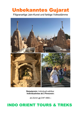 Unbekanntes Gujarat Filigranartige Jain-Kunst Und Farbige Volksstämme