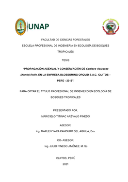 Facultad De Ciencias Forestales Escuela Profesional De Ingenieria En Ecologia De Bosques Tropicales Tesis