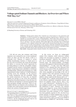 Voltage-Gated Sodium Channels and Blockers: an Overview and Where Will They Go?*