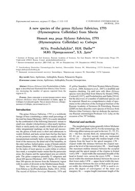 A New Species of the Genus Hylaeus Fabricius, 1793 (Hymenoptera