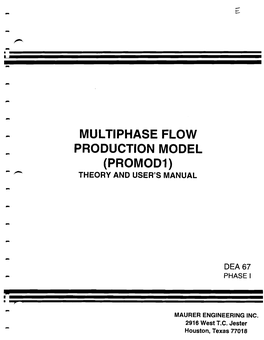 Multiphase Flow Production Model