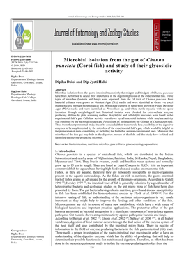 Microbial Isolation from the Gut of Channa Punctata (Goroi Fish) And