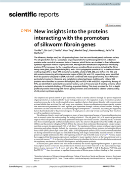 New Insights Into the Proteins Interacting with the Promoters Of