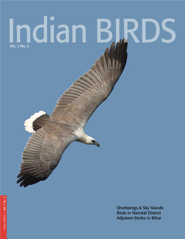 Shortwings & Sky Islands Birds in Nainital District Adjutant-Storks In