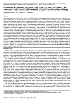 Variation in Cephalic Neuromasts Surface and Cave-Dwelling Fishes of the Family Amblyopsidae (Teleostei: Percopsiformes)