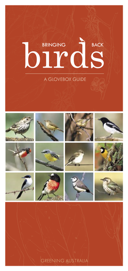 A Glovebox Guide Greening Australia