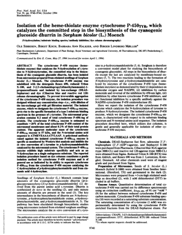 Glucoside Dhurrin in Sorghum Bicolor