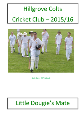 Hillgrove Colts Cricket Club – 2015/16 Little Dougie's Mate 2010/11