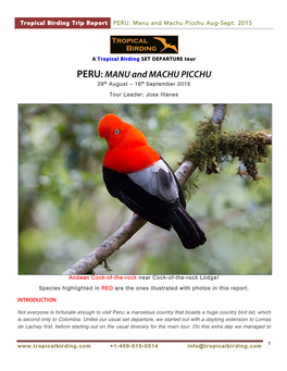 PERU: Manu and Machu Picchu Aug-Sept
