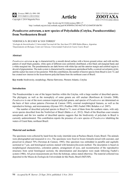 Pseudoceros Astrorum, a New Species of Polycladida (Cotylea, Pseudocerotidae) from Northeastern Brazil