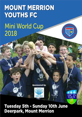 Mini World Cup 2018