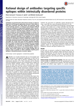 Rational Design of Antibodies Targeting Specific Epitopes Within Intrinsically Disordered Proteins