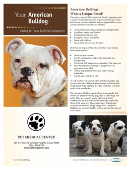 American Bulldogs: What a Unique Breed! PET MEDICAL CENTER