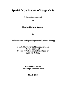 Spatial Organization of Large Cells