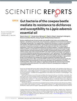 Gut Bacteria of the Cowpea Beetle Mediate Its Resistance to Dichlorvos
