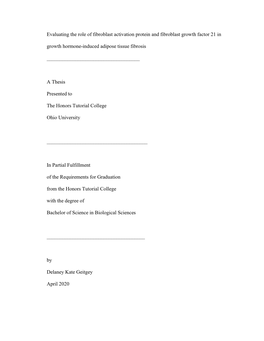 View of Methods for Visceral Adipose Tissue Analysis