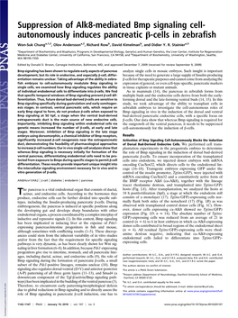 Suppression of Alk8-Mediated Bmp Signaling Cell- Autonomously Induces Pancreatic Β-Cells in Zebraﬁsh