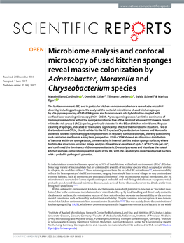 Microbiome Analysis and Confocal Microscopy of Used Kitchen