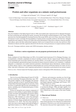 Protists and Other Organisms on a Minute Snail Periostracum A