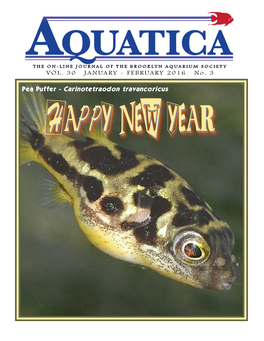 Pea Puffer - Carinotetraodon Travancoricus HAPPYHAPPY NEWNEW YEARYEAR 1 105 Y EARS of E DUCATING a QUARISTS AQUATICA VOL