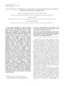 New Ulvaceae (Ulvophyceae, Chlorophyta) from Mesophotic Ecosystems Across the Hawaiian Archipelago1