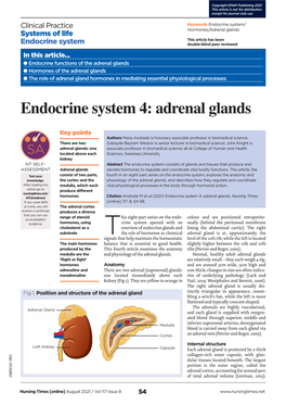 Endocrine System 4: Adrenal Glands