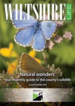 Natural Wonders: Your Monthly Guide to the County’S Wildlife in Partnership With