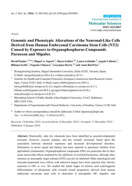 Genomic and Phenotypic Alterations of the Neuronal-Like Cells