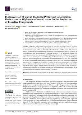 Bioconversion of Callus-Produced Precursors to Silymarin Derivatives in Silybum Marianum Leaves for the Production of Bioactive Compounds