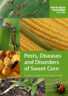 Pests, Diseases and Disorders of Sweet Corn