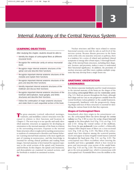Chapter 3: Internal Anatomy of the Central Nervous System