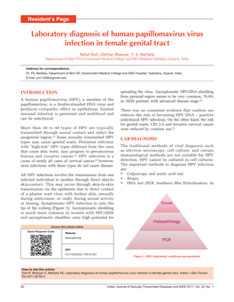 Laboratory Diagnosis of Human Papillomavirus Virus Infection in Female Genital Tract