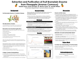 Fruit Bromelain Enzyme Poster