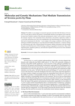 Molecular and Genetic Mechanisms That Mediate Transmission of Yersinia Pestis by Fleas