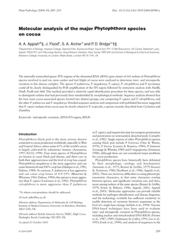 Molecular Analysis of the Major Phytophthora Species on Cocoa