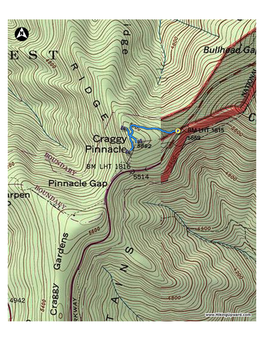 Craggy Pinnacle Hike