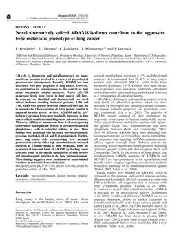 Novel Alternatively Spliced ADAM8 Isoforms Contribute to the Aggressive Bone Metastatic Phenotype of Lung Cancer