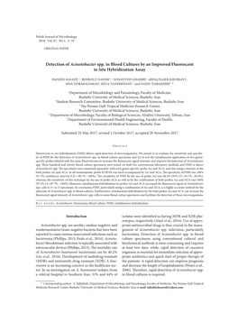 Detection of Acinetobacter Spp. in Blood Cultures by an Improved Fluorescent in Situ Hybridization Assay