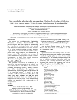 First Record of a Sclerodactylid Sea Cucumber, Ohshimella Ehrenbergii(Selenka, 1868) from Iranian Waters (Echinodermata: Holothuroidea: Sclerodactylidae)