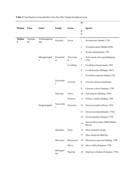 Table 2 Classification of Macrobenthos from Kan Maw Island and Adjacent Areas