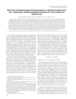 (Nematoda: Aphelenchoididae) Isolated from Pinus Eldarica in Western Iran