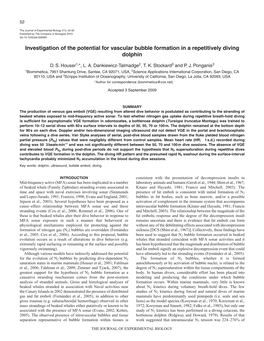 Investigation of the Potential for Vascular Bubble Formation in a Repetitively Diving Dolphin