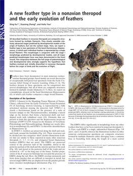 A New Feather Type in a Nonavian Theropod and the Early Evolution of Feathers